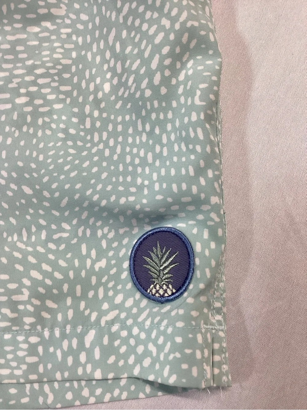 chubbies teal gradient
